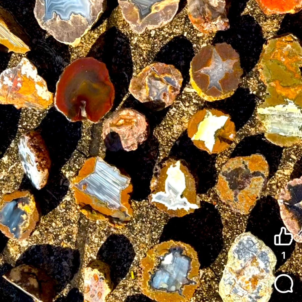 Thunder eggs and rare jaspers from claims across the USA face polidhed